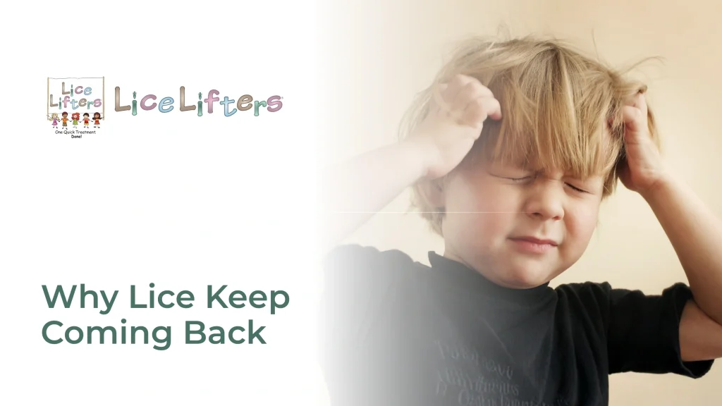 Reasons Your Head Lice Won’t Go Away and What to Do