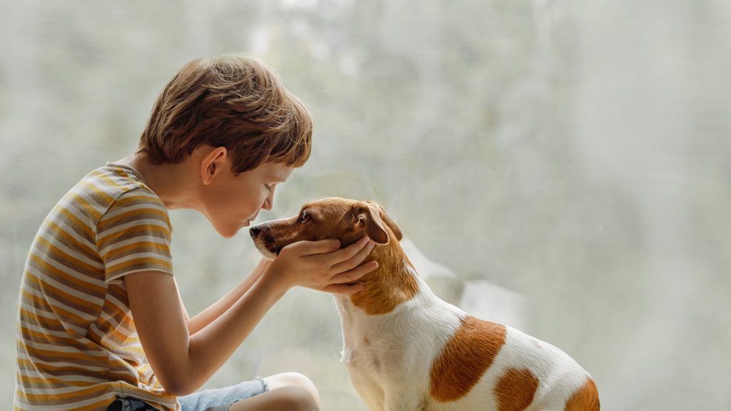 Can Pets Get Lice From My Child?