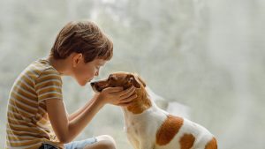 Can Pets Get Lice From My Child?