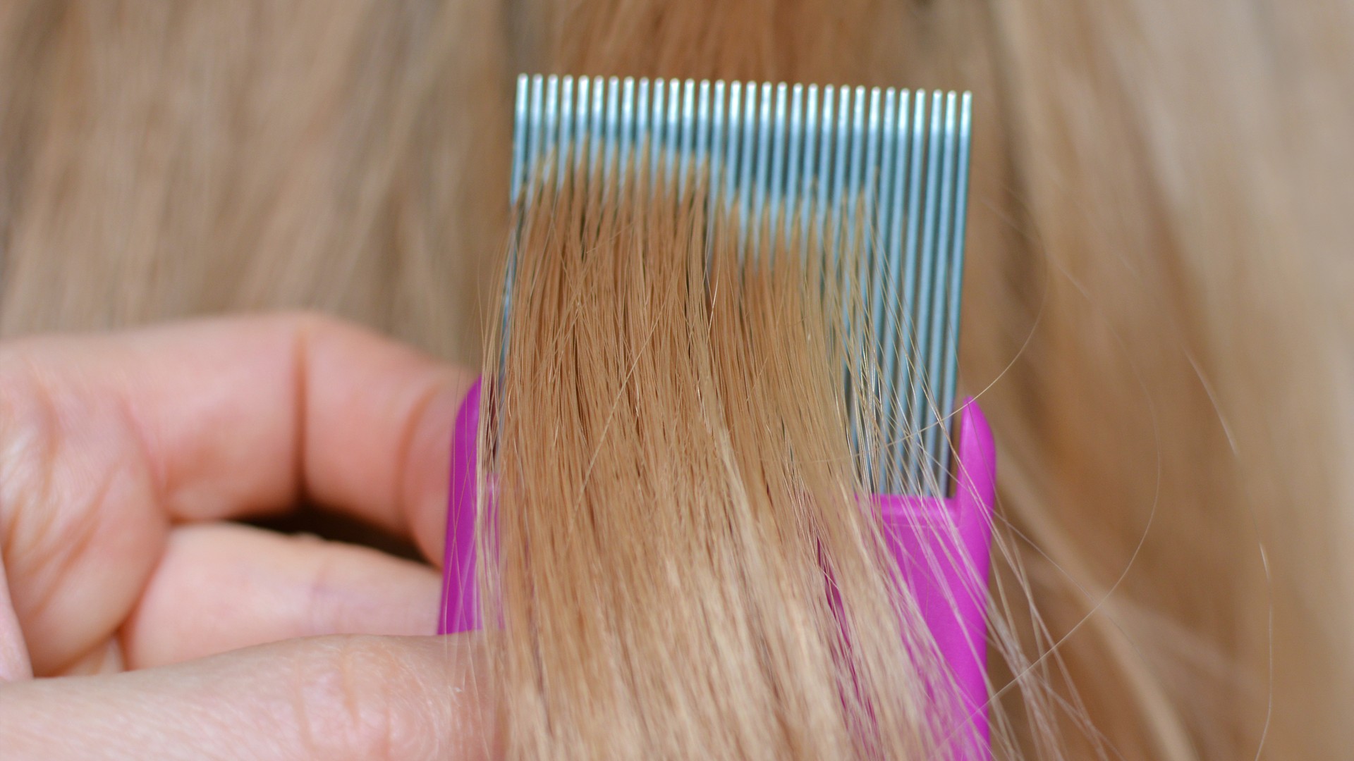 Close-up of a stainless steel nit comb being drawn through a child's blond hair during an at-home lice comb-out session - the visual decision moment for parents learning how to use a lice comb the right way.