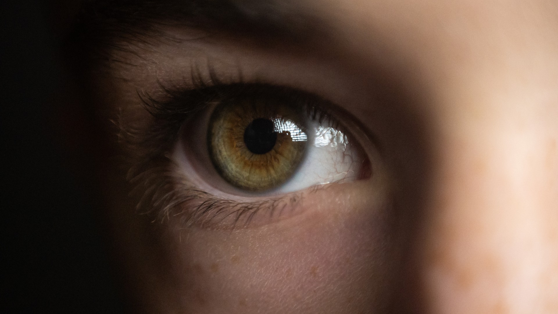 Close-up of a child's eye and eyelash line.