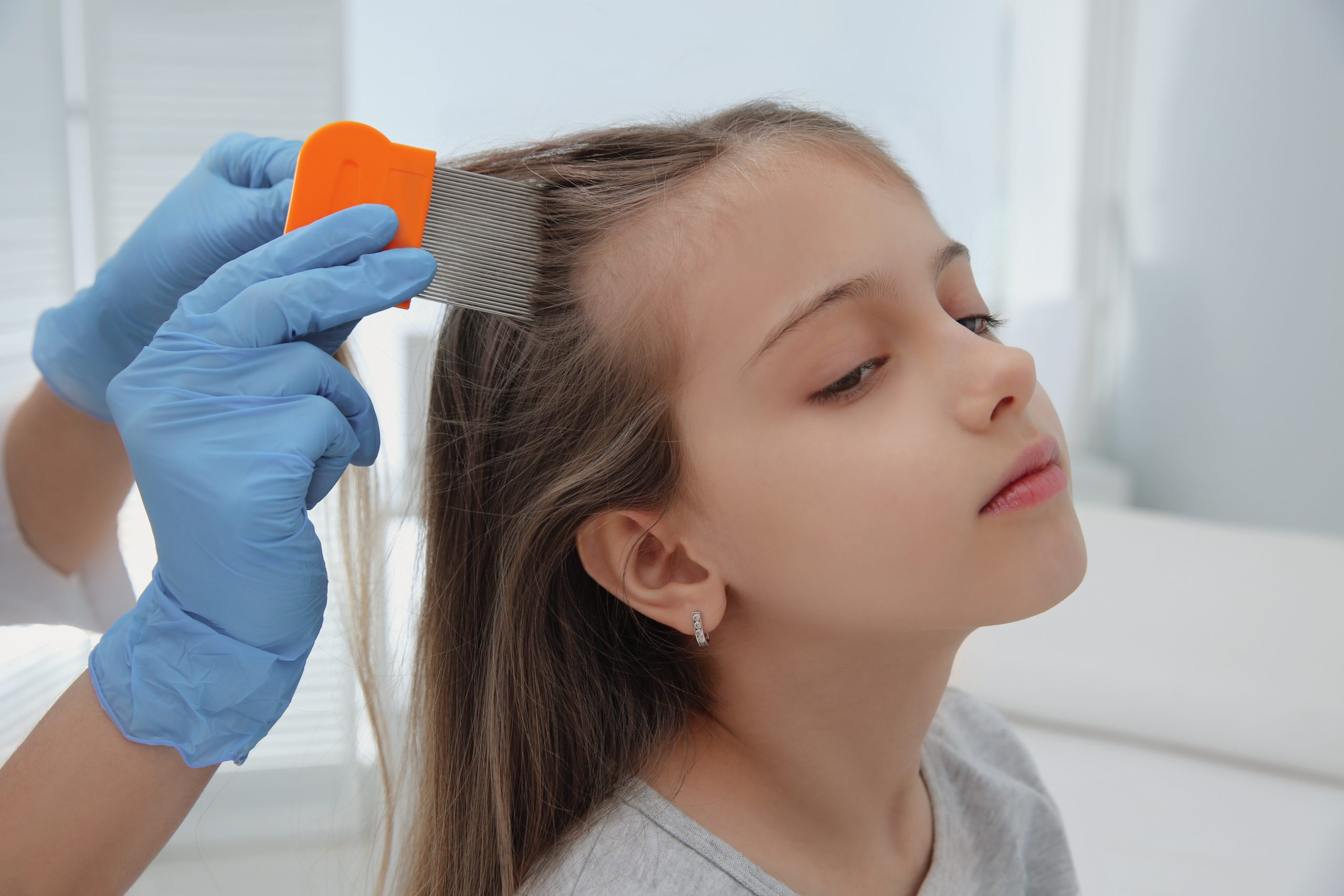 Clinician running a fine-tooth metal nit comb through a child's hair under salon lighting during a post-treatment confirmation check - the recheck the article describes.