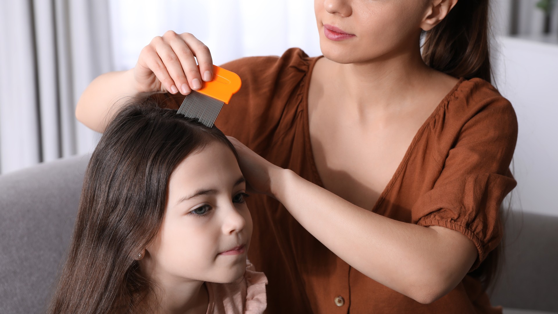 What’s the Right Way to Use a Lice Comb at Home?