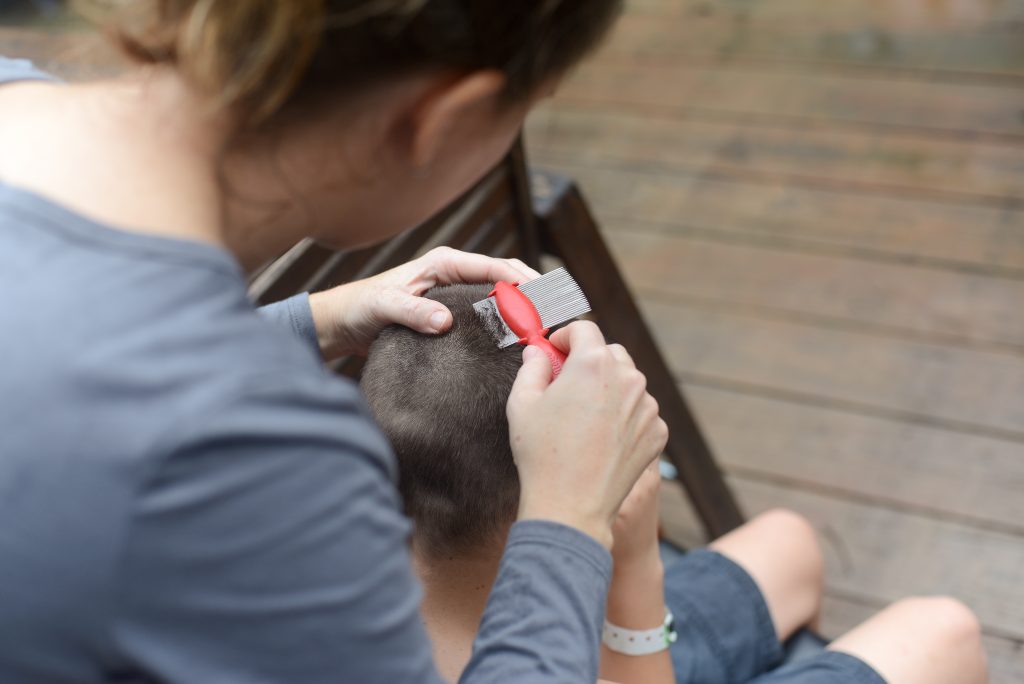 Natural Lice Treatment: What Works and What’s Dangerous