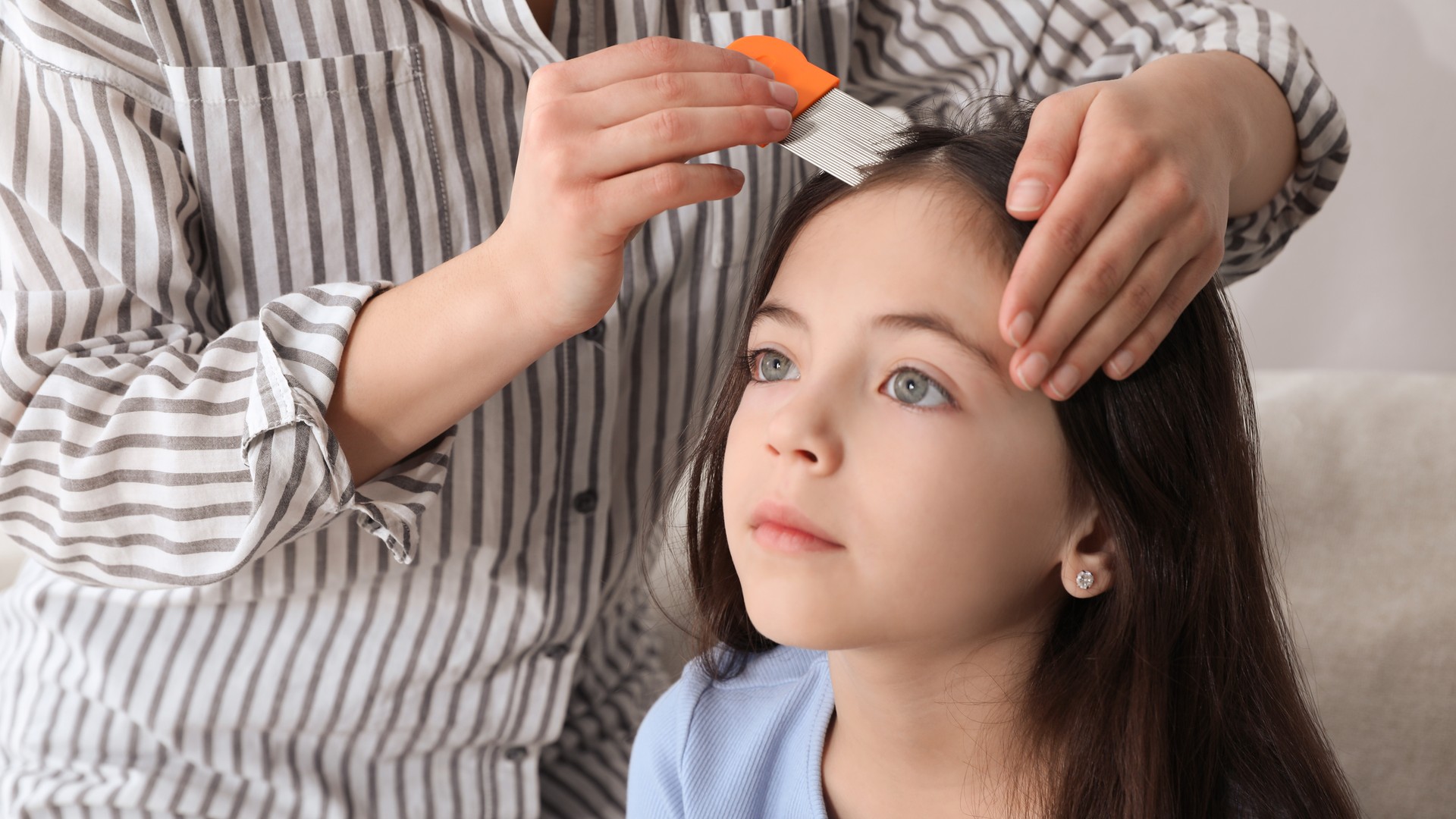 Before You Buy Lice Shampoo, Make Sure It’s Lice