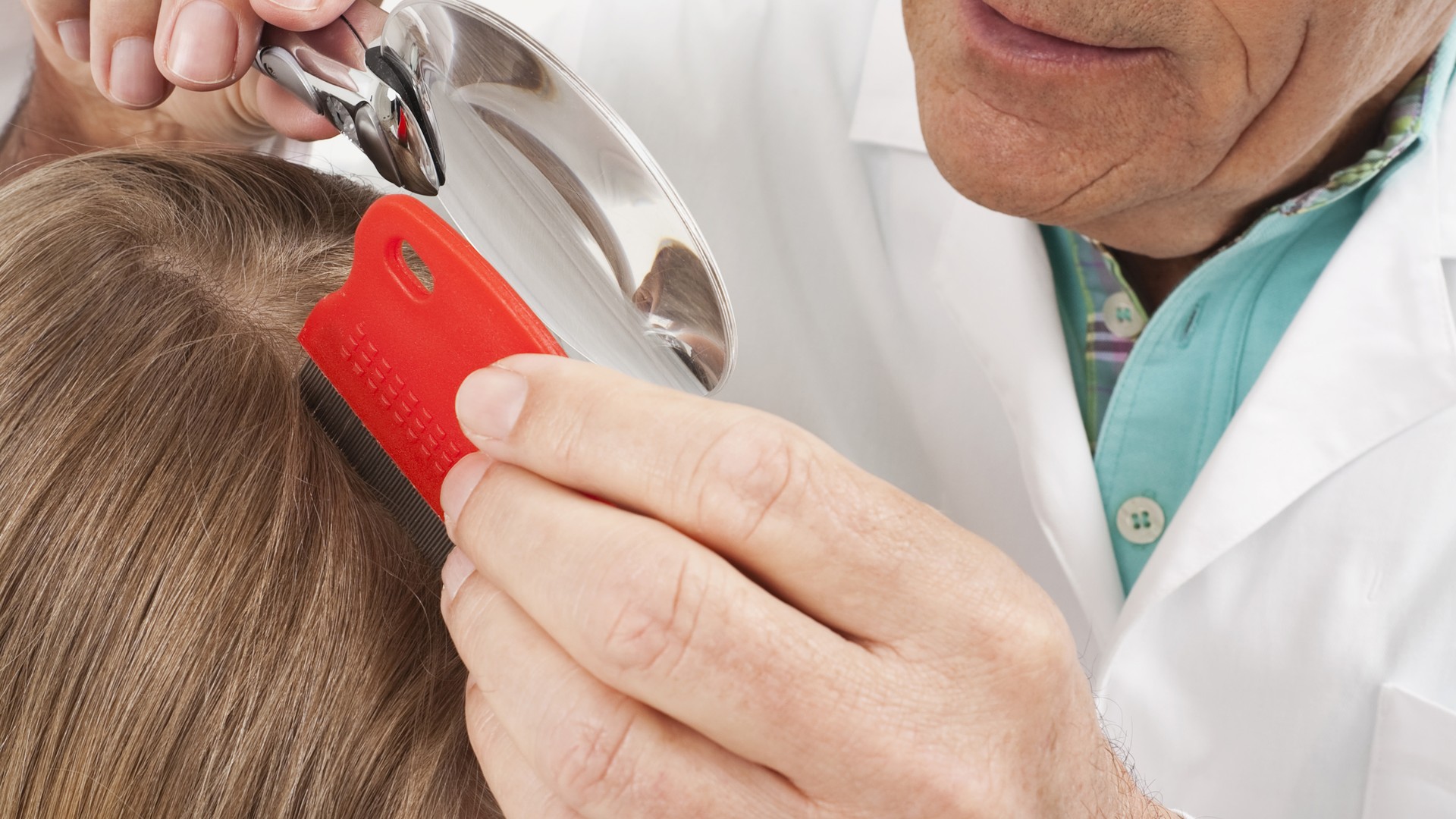 Professional lice treatment clinic magnifier head check