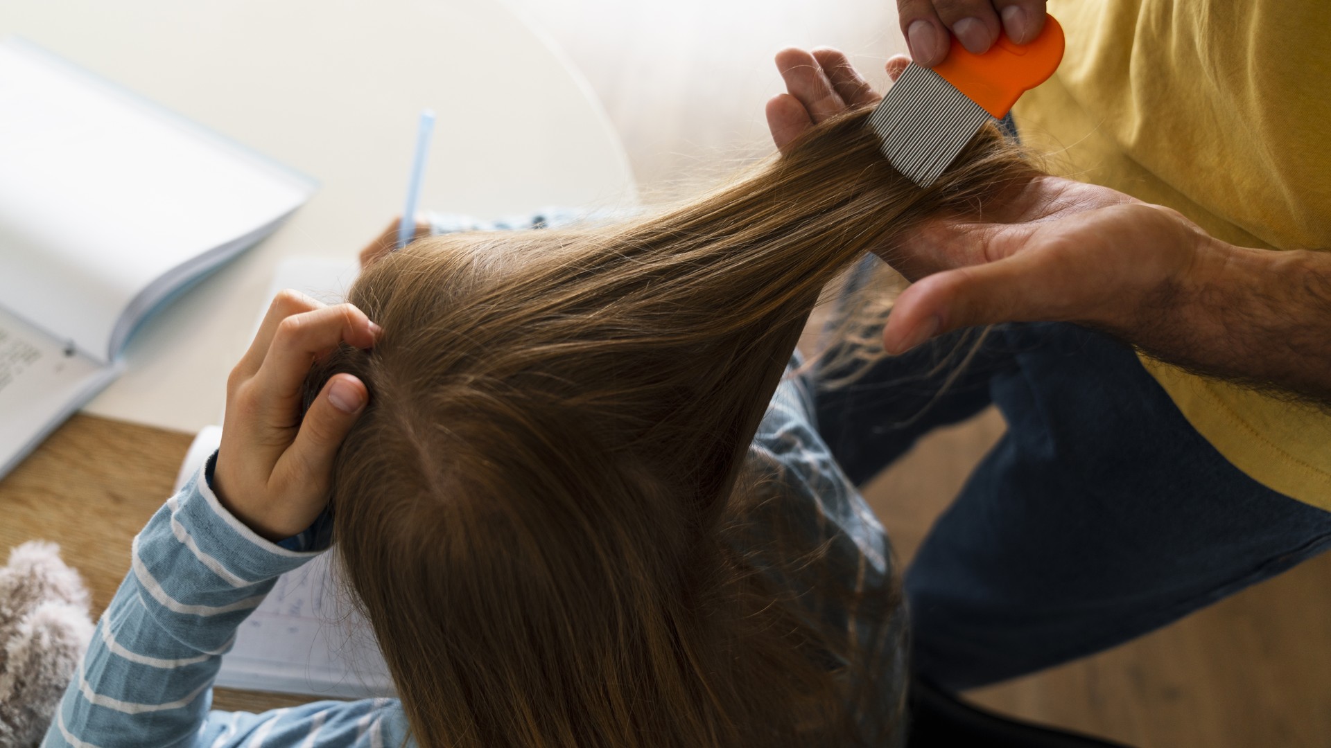 A Quarter Inch of Hair Tells You If the Lice Are Active