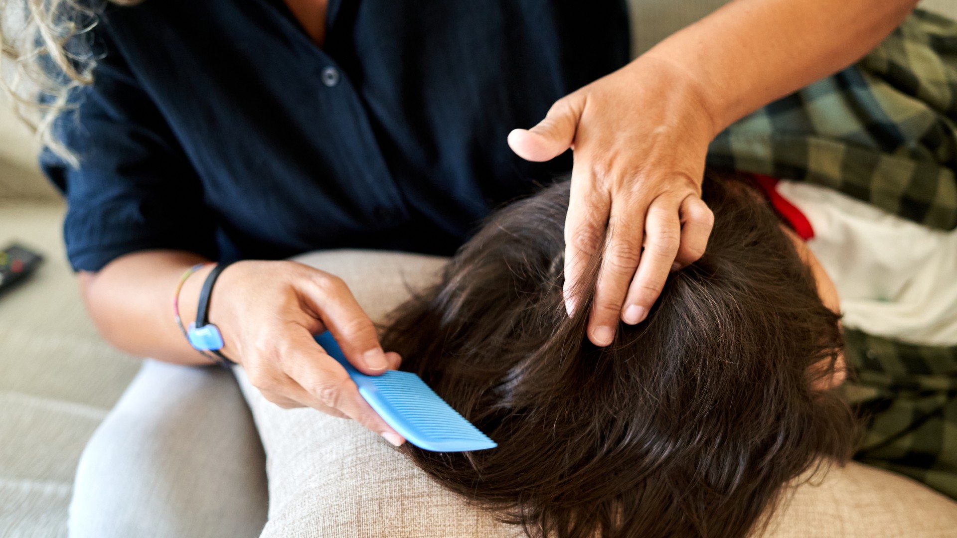 Upgraded: Can Adults Get Head Lice?