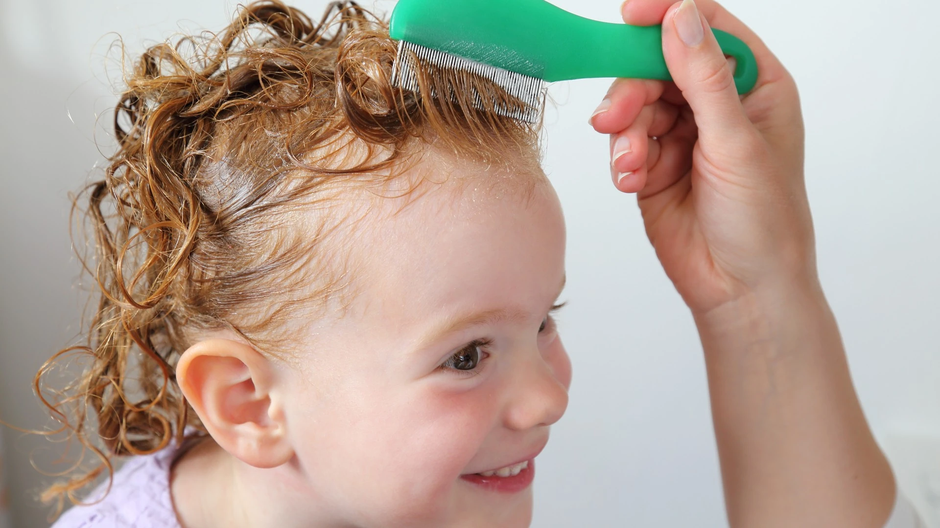 A green-handled fine-toothed comb in wet curly red hair.