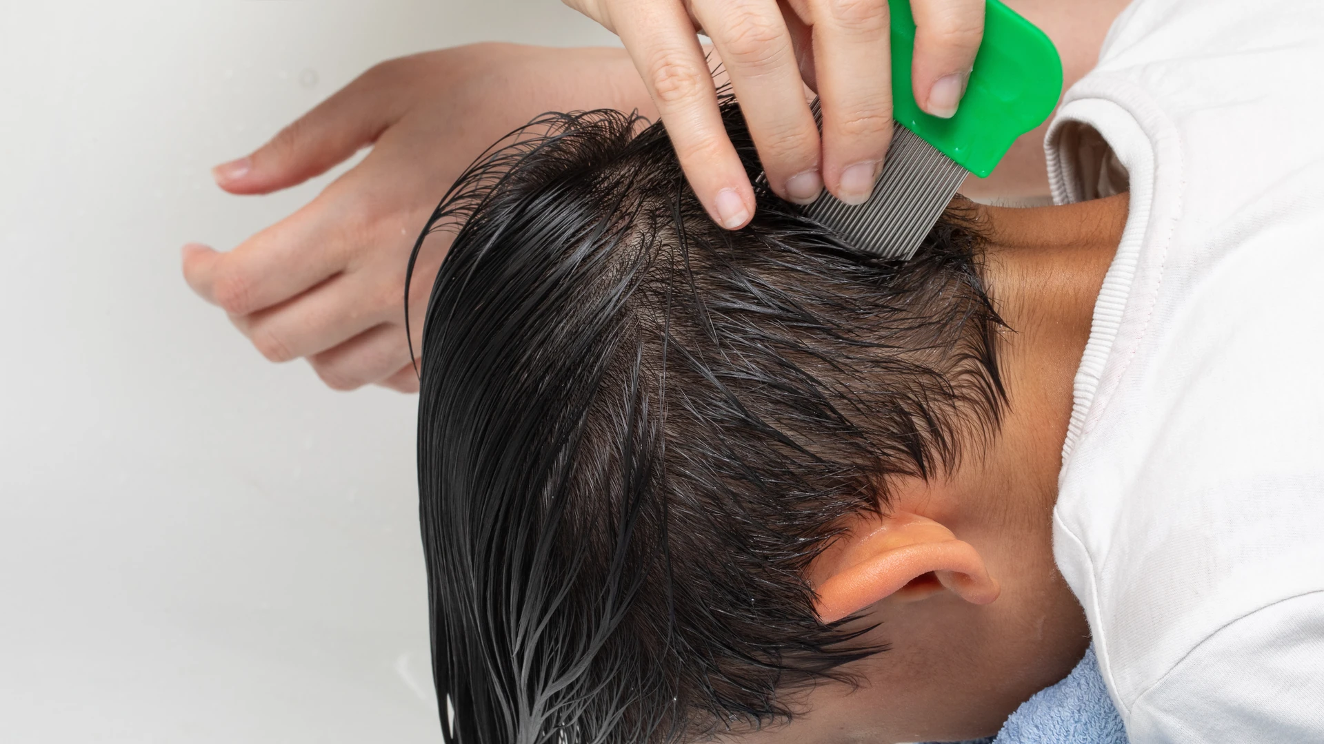 A green-handled fine-toothed comb in wet dark hair above the ear.